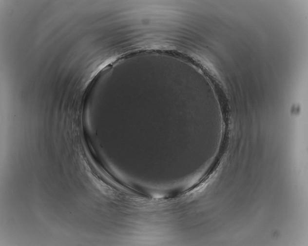 X0000090760881200707201501