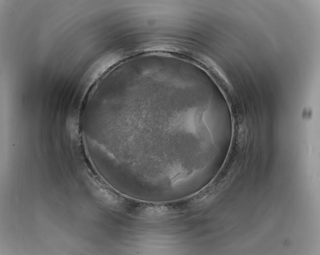 X0000090760882200707201501