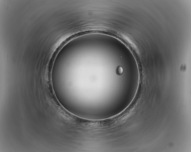 X0000090760883200707201501