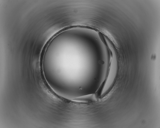 X0000090760884200707201501