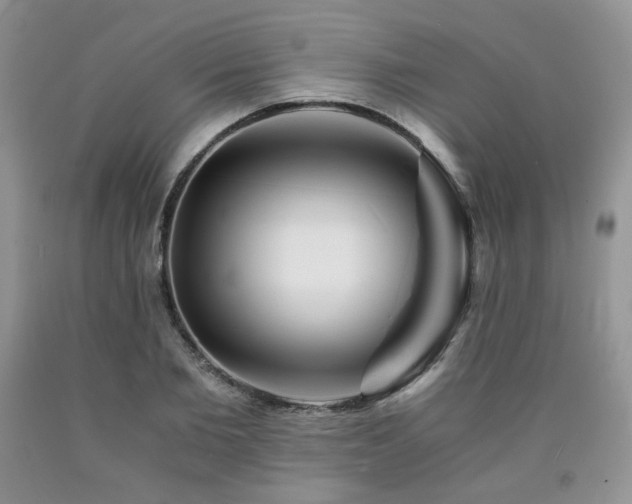 X0000090760885200707201501