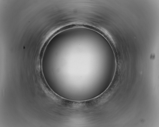 X0000090760887200707201501