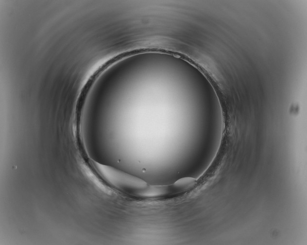 X0000090760888200707201501