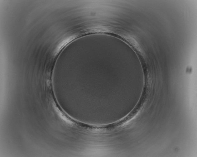 X0000090760889200707201501