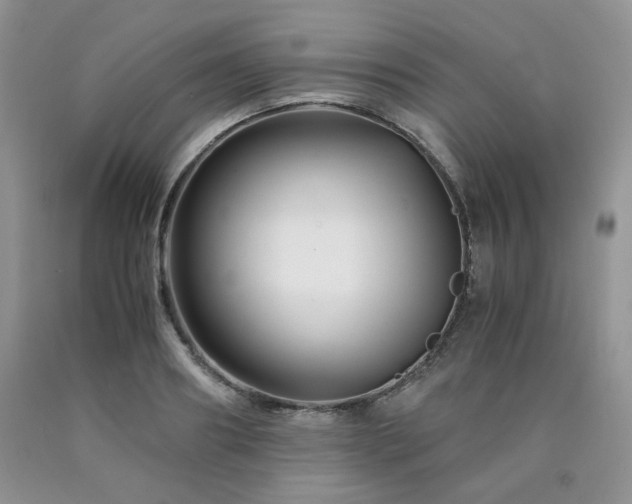 X0000090760890200707201501