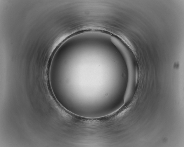 X0000090760893200707201501