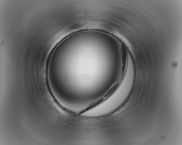 X0000090760894200707201501