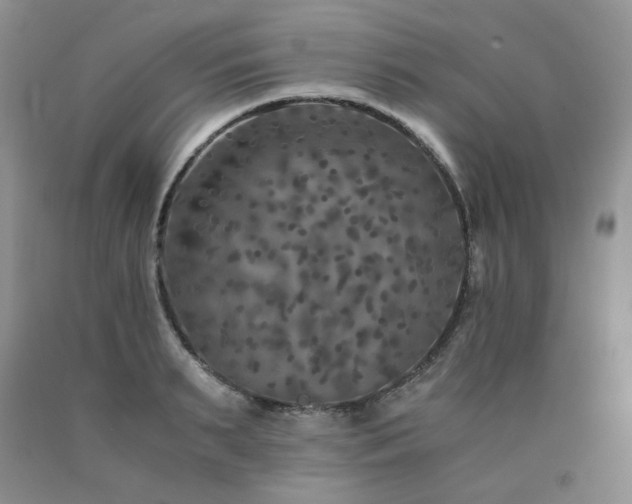 X0000090760895200707201501