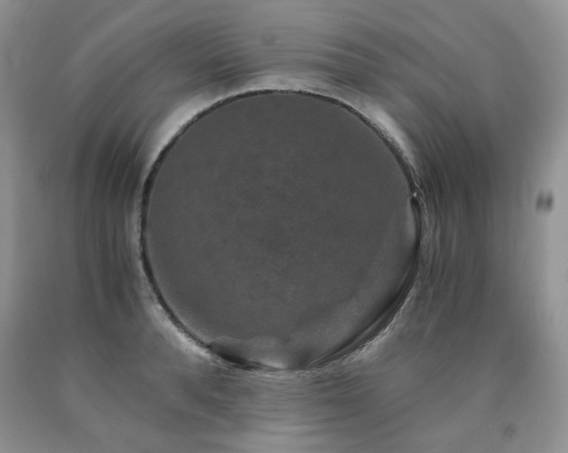 X0000090760896200707201501