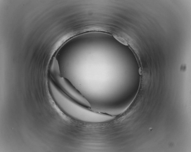 X0000090760898200707201501