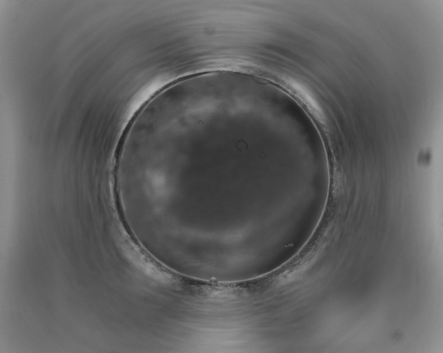 X0000090760899200707201501