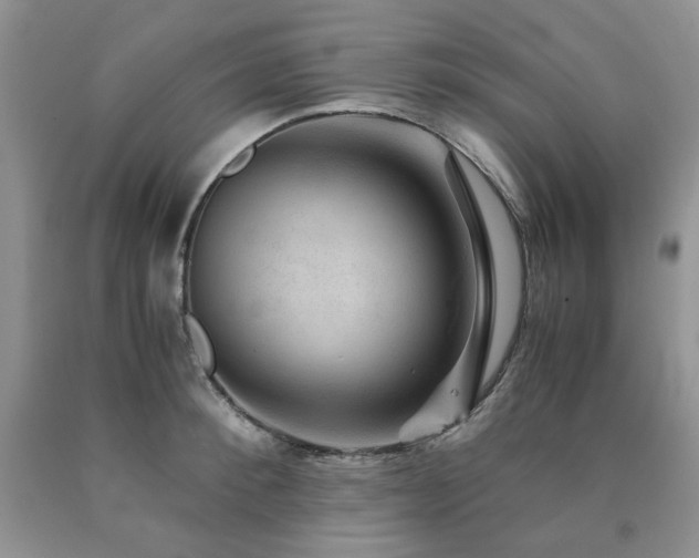 X0000090760900200707201501