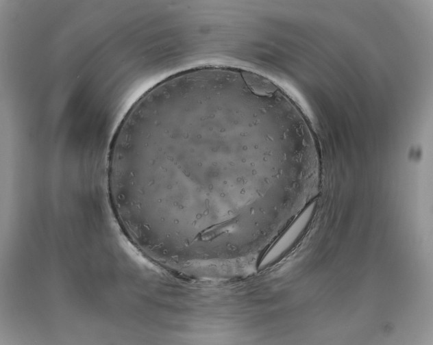 X0000090760903200707201501