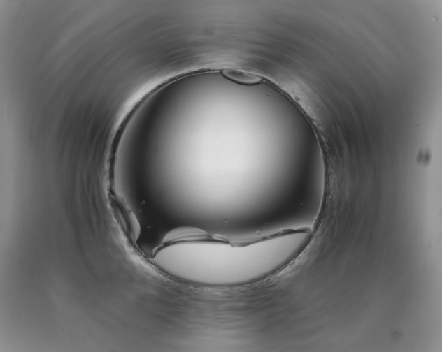 X0000090760904200707201501