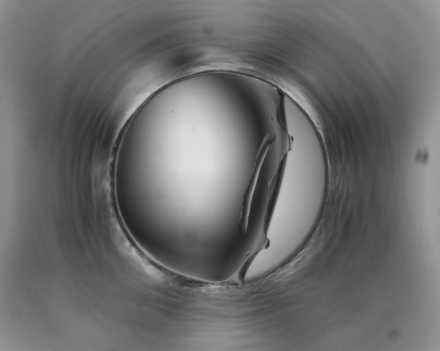 X0000090760906200707201501