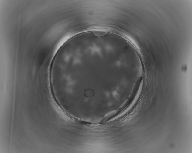 X0000090760907200707201501