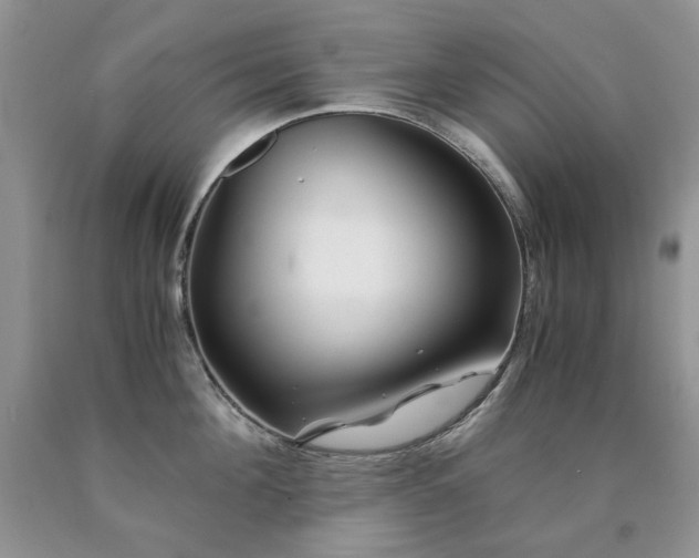 X0000090760908200707201501