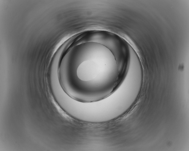 X0000090760909200707201501