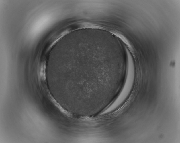 X0000090760910200707201501