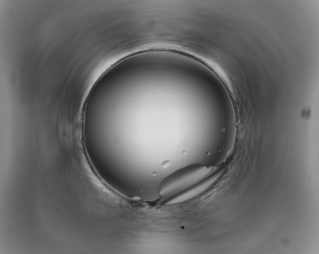 X0000090760911200707201501