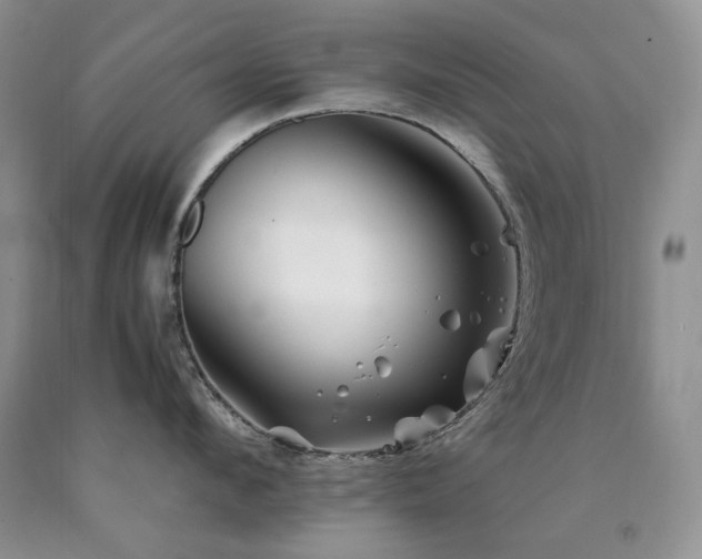 X0000090760912200707201501