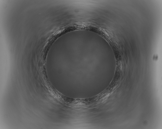 X0000090760913200707201500