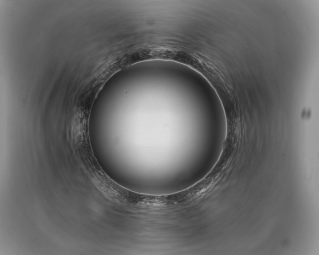 X0000090760914200707201500