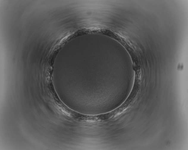 X0000090760916200707201500