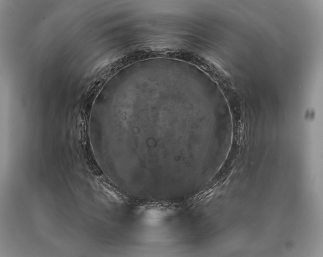 X0000090760917200707201500