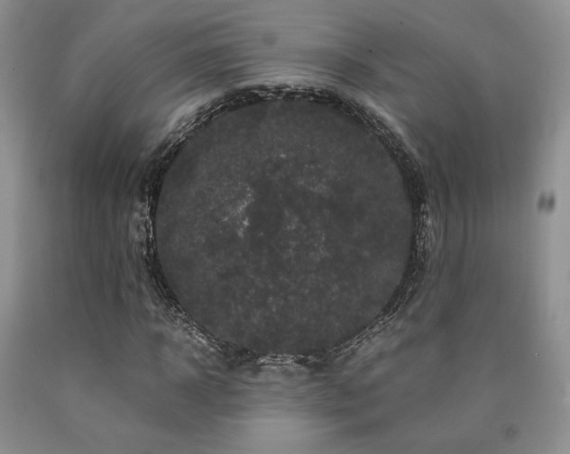 X0000090760918200707201500