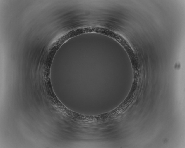 X0000090760919200707201500