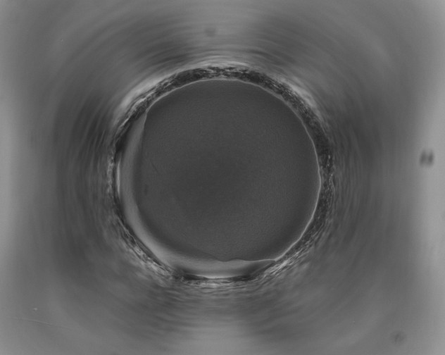 X0000090760920200707201500