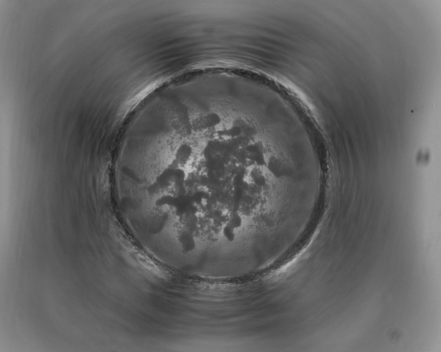 X0000090760921200707201500