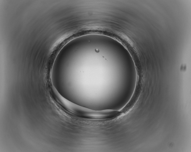 X0000090760922200707201500