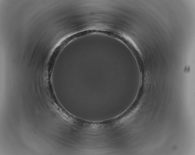 X0000090760923200707201500