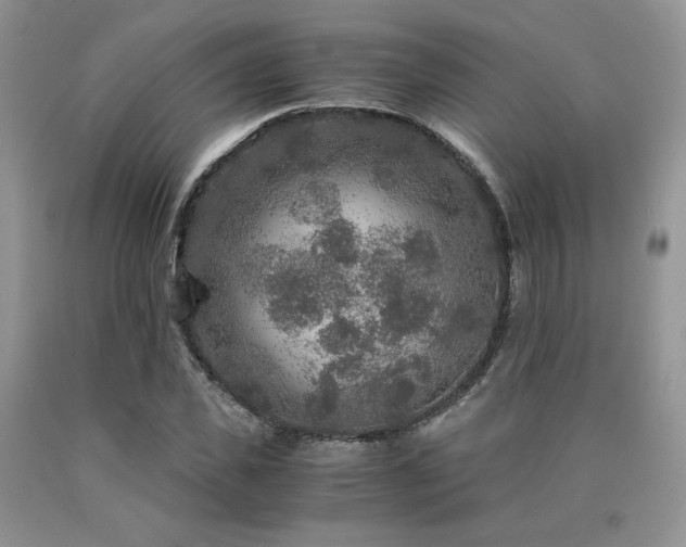 X0000090760925200707201500
