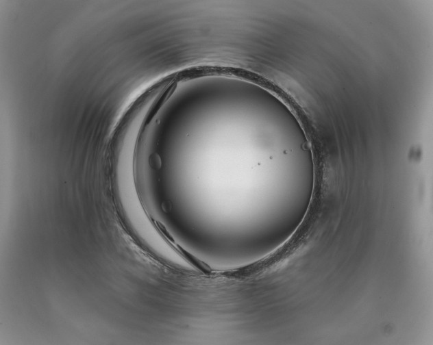 X0000090760926200707201500