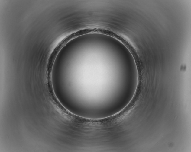 X0000090760927200707201500