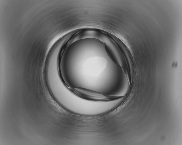 X0000090760928200707201500