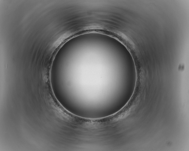 X0000090760929200707201500