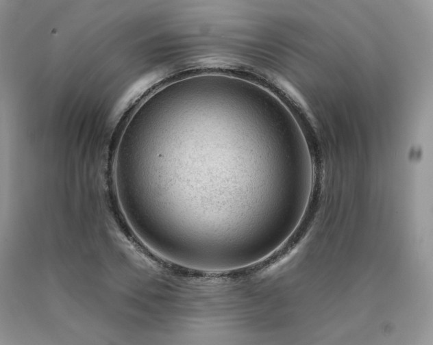 X0000090760930200707201500