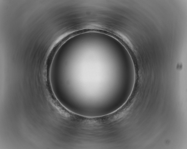 X0000090760931200707201500