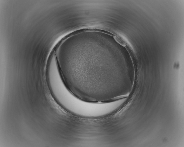 X0000090760932200707201500