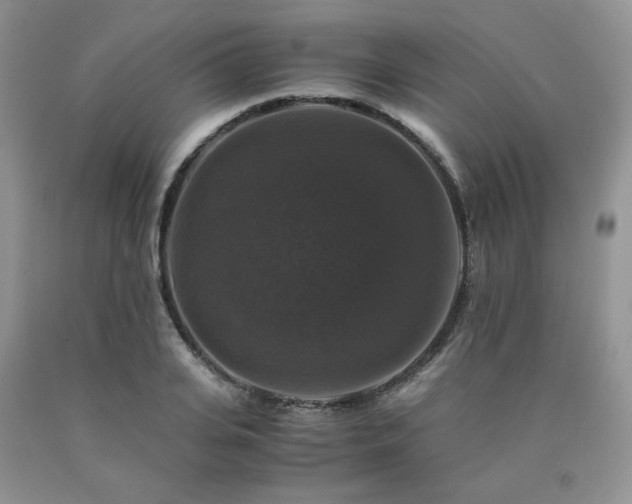 X0000090760935200707201500