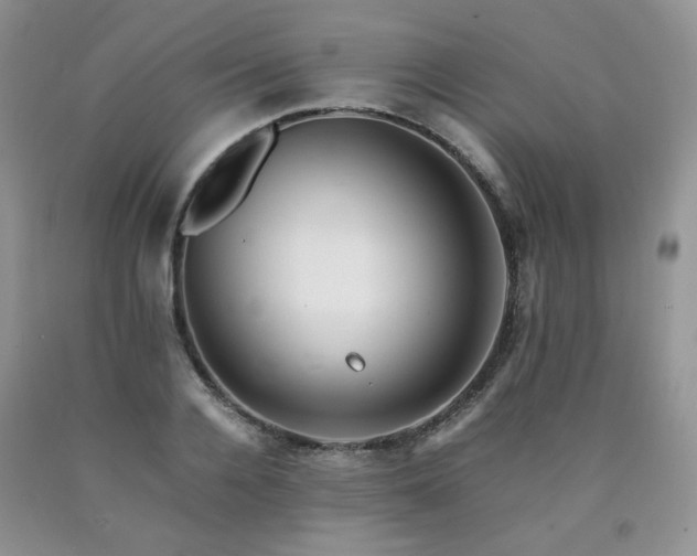 X0000090760936200707201500