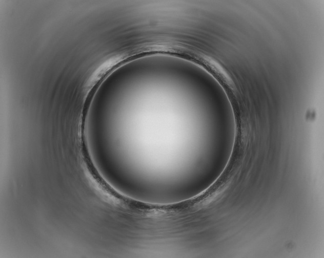 X0000090760938200707201500