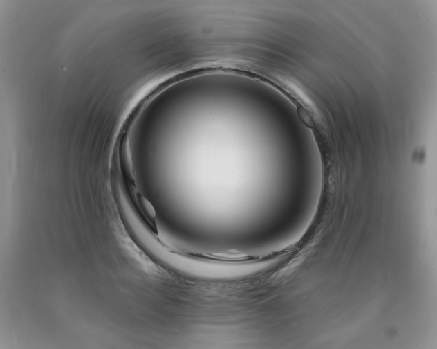 X0000090760940200707201500