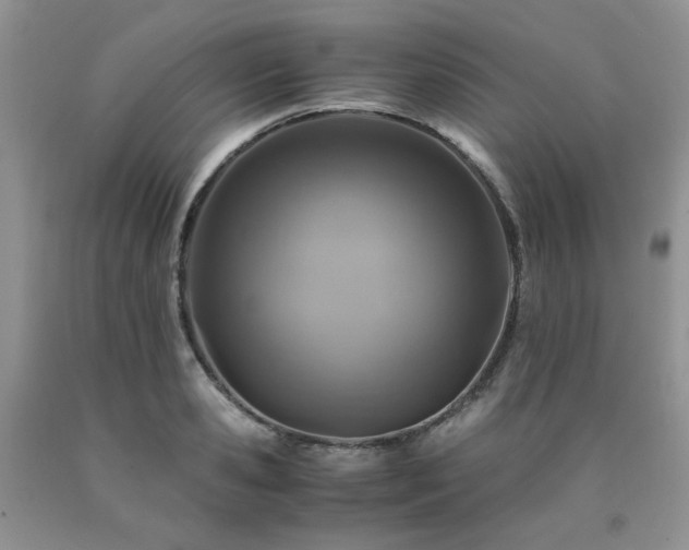 X0000090760941200707201500