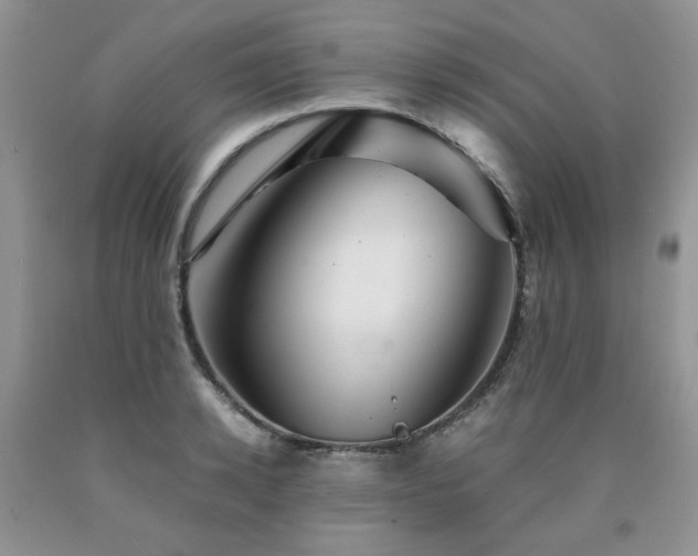 X0000090760942200707201500