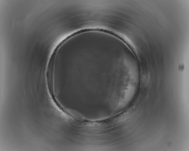 X0000090760943200707201500